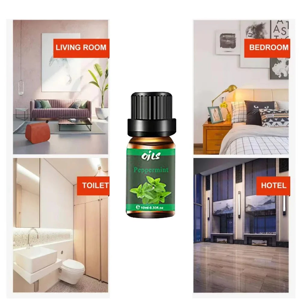 Six Natural Aromatherapy Essential Oils Set For Home Office