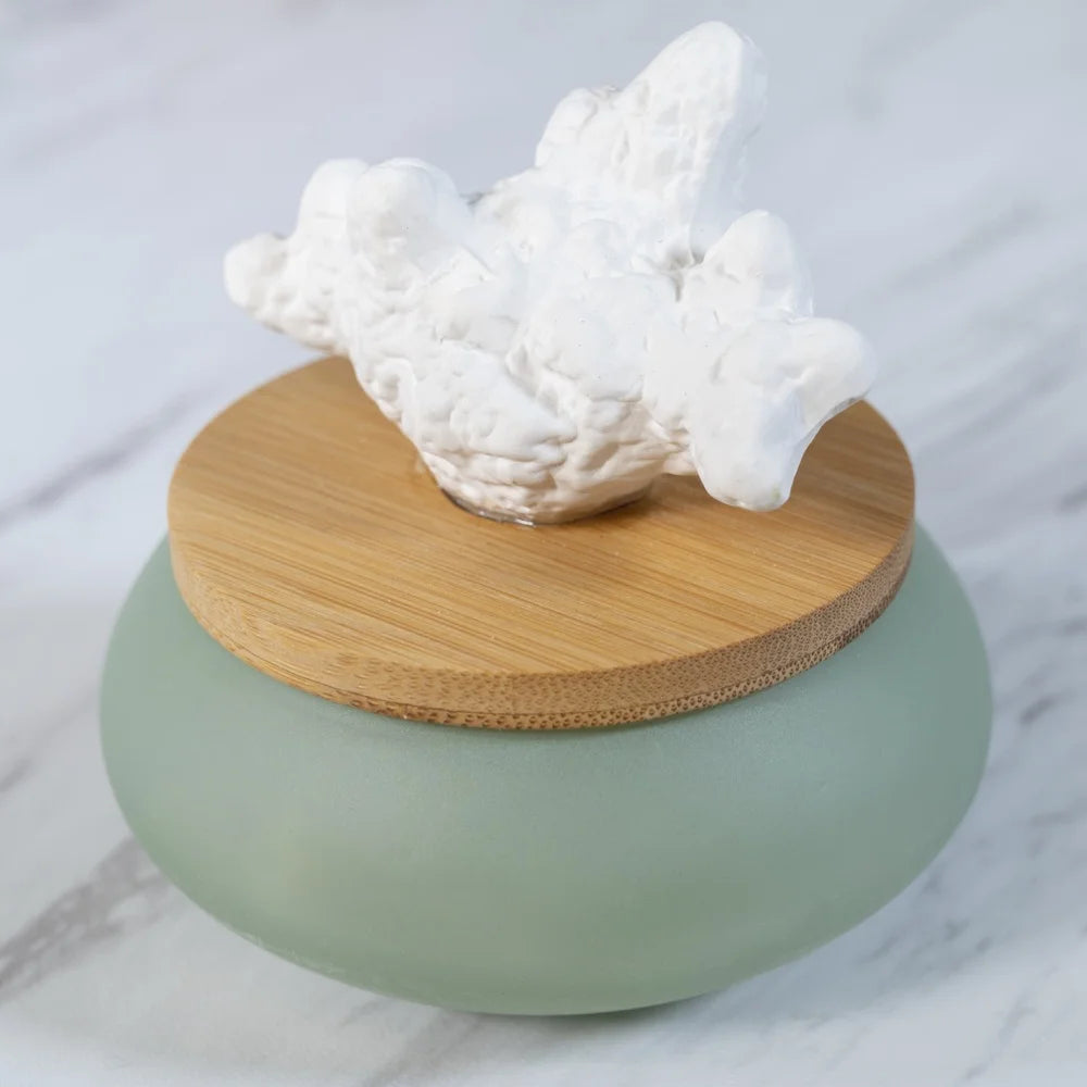 Ceramic Diffuser for Essential Oils Aromatherapy Home Fragrance