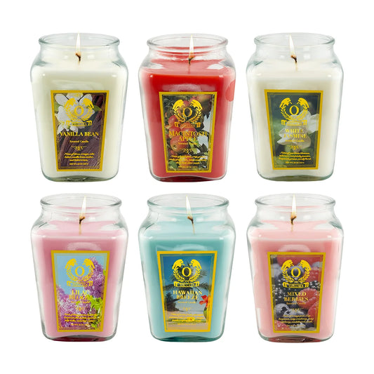 Premium Indulgent Aromatic PlantBasedWax Scented Candle LongLasting Aromatherapy Relaxation