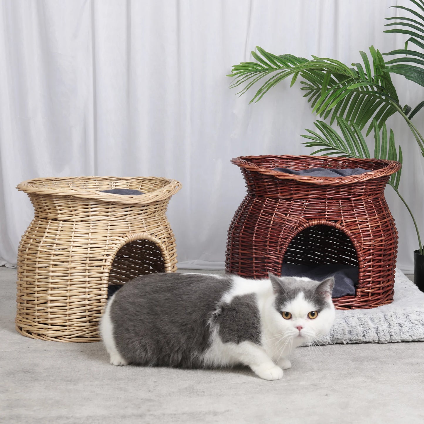 Two Tier Wicker Cat Bed Play House With Plush Cushions