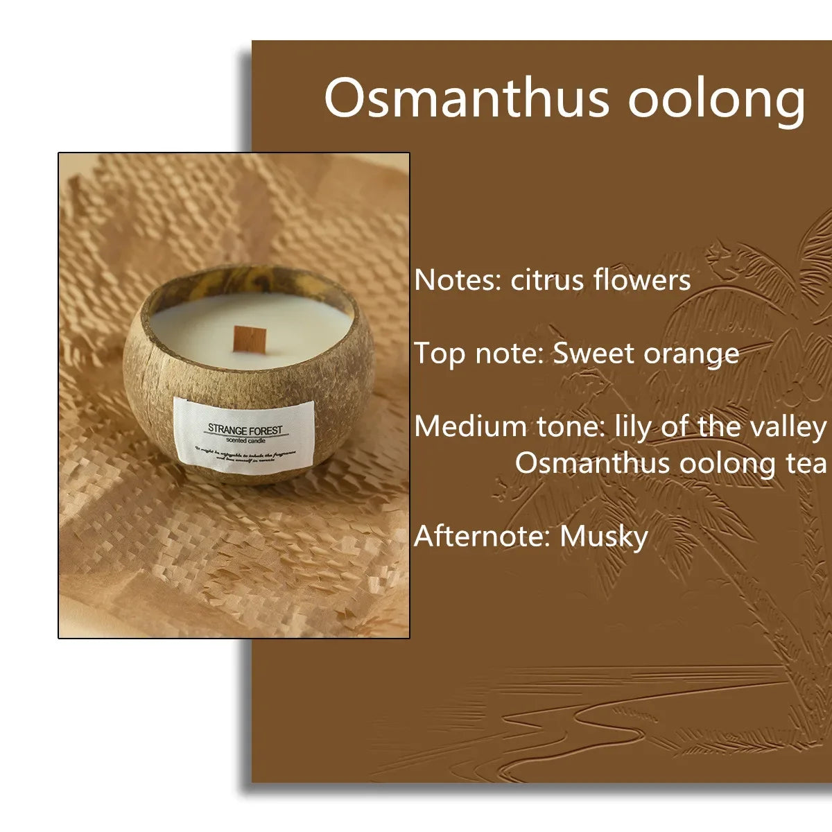 Handmade Soy Wax Scented Candles Coconut Shell Gift Set