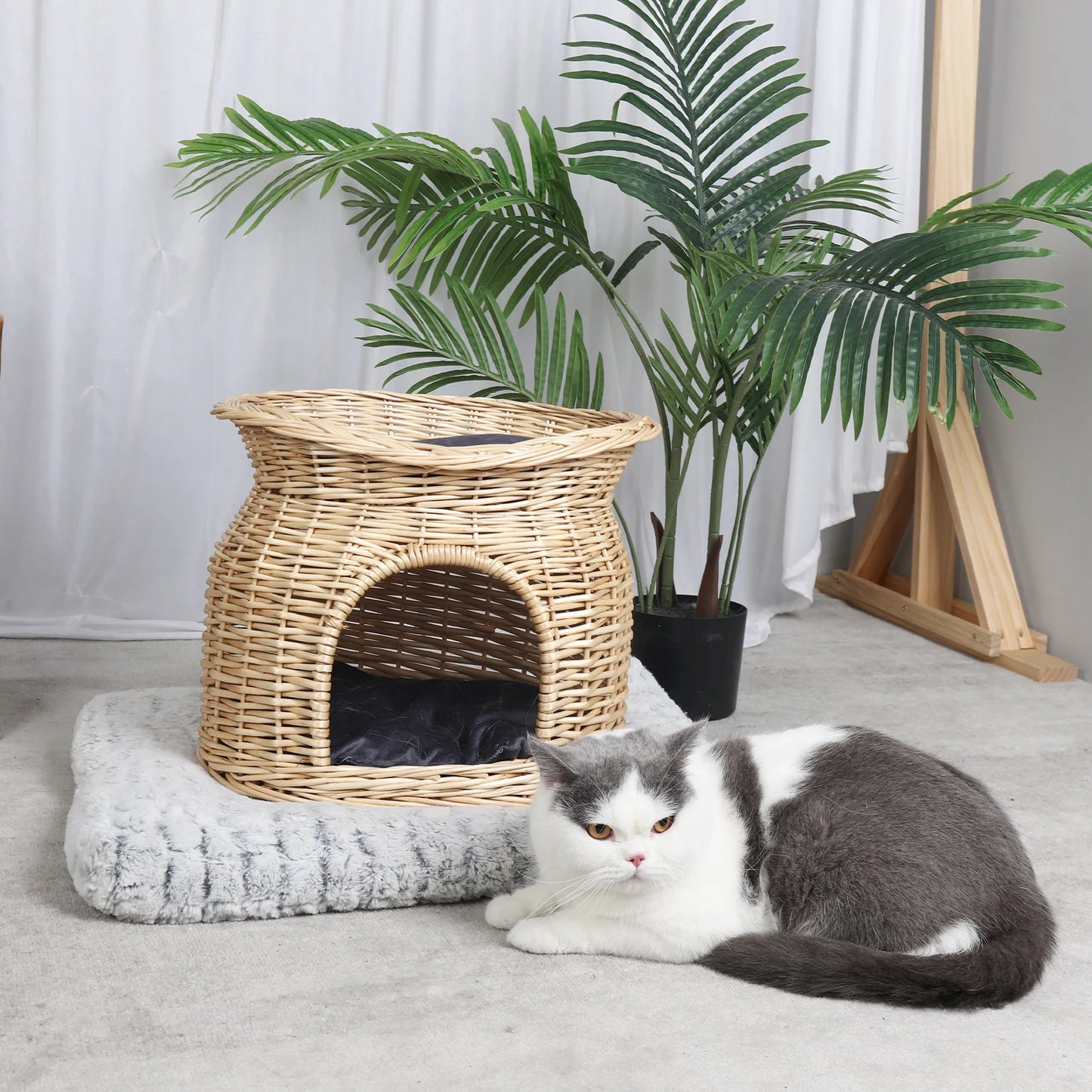 Two Tier Wicker Cat Bed Play House With Plush Cushions