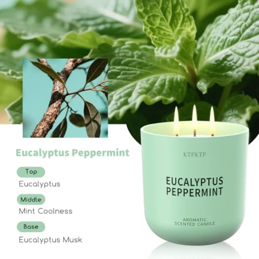 Eucalyptus Peppermint Scented Candle For Home Aromatherapy